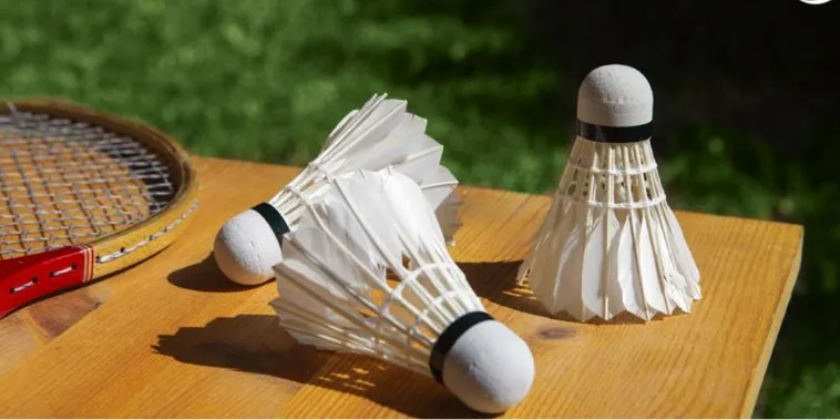 Tuyệt Chiêu Soi Kèo Và Cách Chơi Cá Cược Cầu Lông Tại i5Bet Hiệu Quả