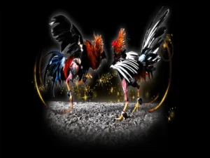 Tuyệt Chiêu Săn Thưởng Cách Chơi Đá Gà Sabong Tại i5Bet Đỉnh Cao