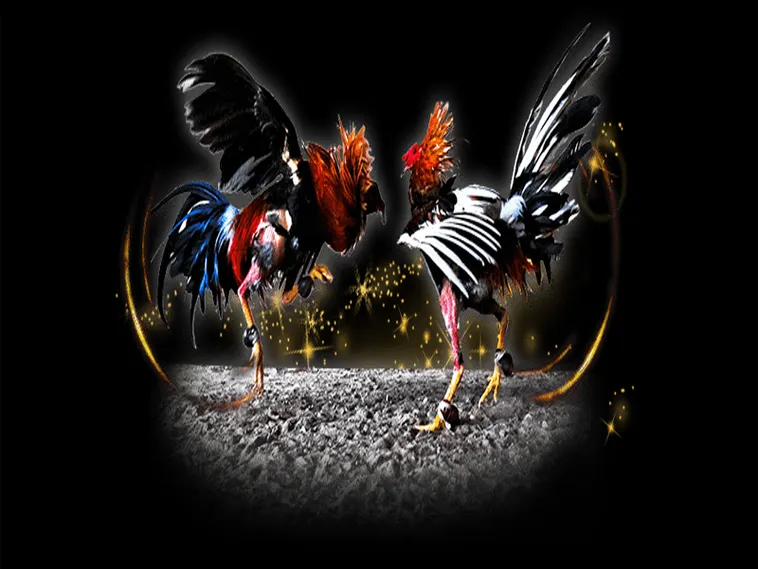 Tuyệt Chiêu Săn Thưởng Cách Chơi Đá Gà Sabong Tại i5Bet Đỉnh Cao