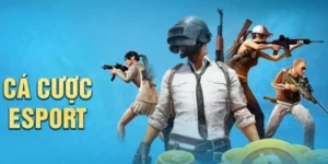 Bí Kíp Đặt Cược Cách Chơi Thể Thao Điện Tử Tại i5Bet Nhận Thưởng Khủng